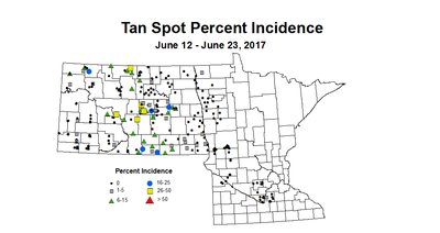 wheat TSI 6 12 6 23 2017