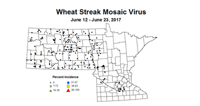 wheat wsmvi 6 12 6 23 2017