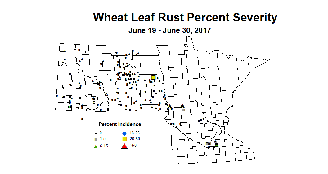 wheat LRSV 6 19 6 30