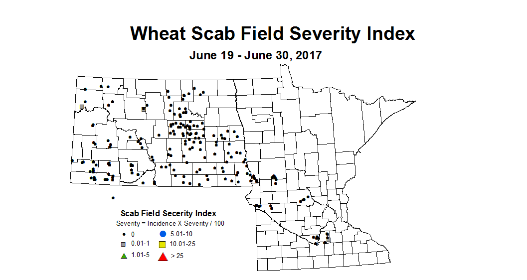 wheat scab 6 19 6 30