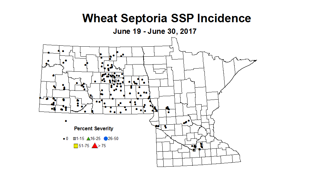 wheat SSPI 6 19 6 30