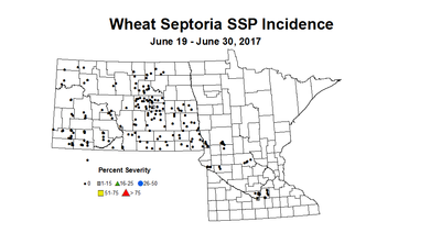 wheat SSPI 6 19 6 30
