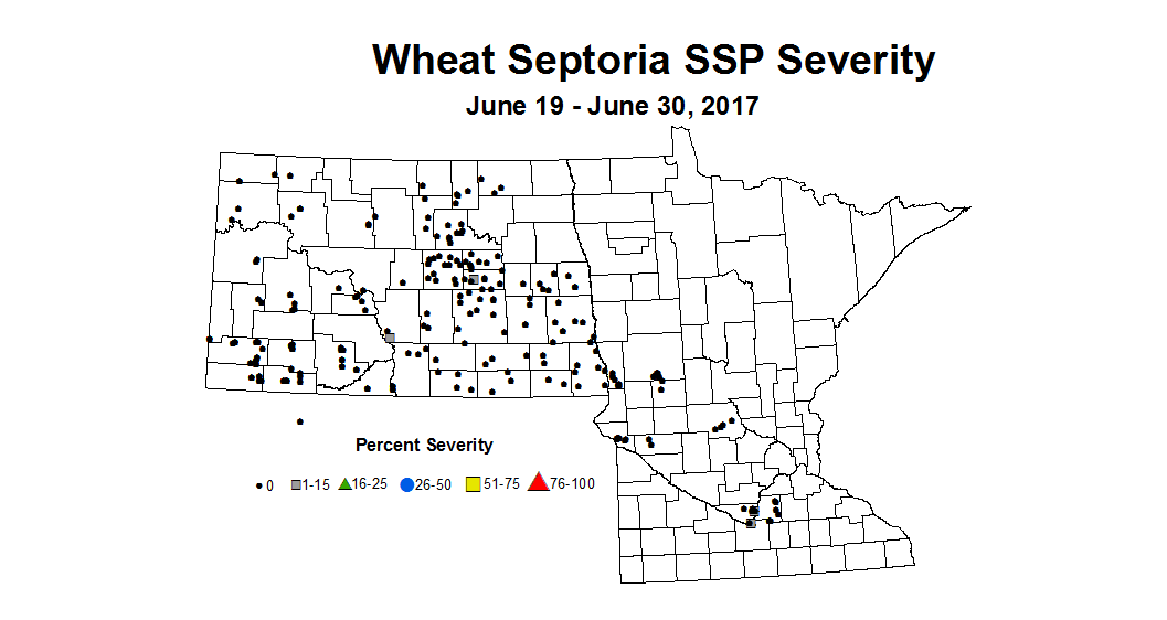 wheat SSPSV 6 19 6 30