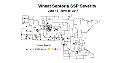wheat SSPSV 6 19 6 30
