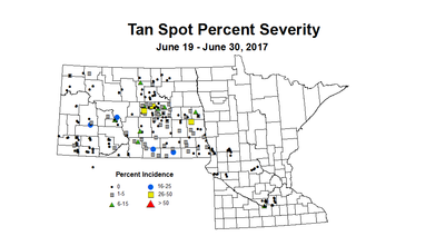 wheat TSSV 6 19 6 30