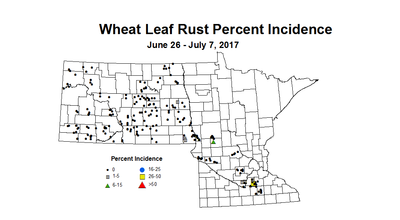 wheat LRI 6 26 7 7 2017