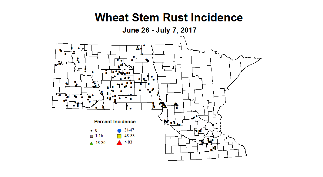 wheat stmRI 6 26 7 7 2017