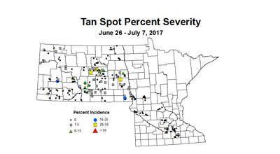 wheat TSSV 6 26 7 7 2017