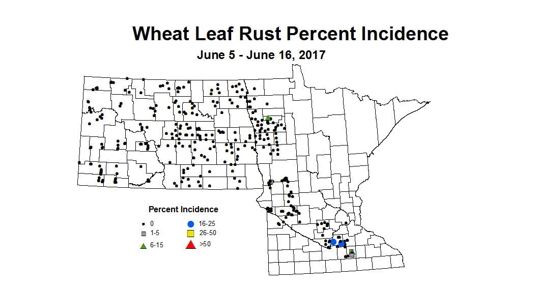 wheat LRI 6 5 6 16 2017