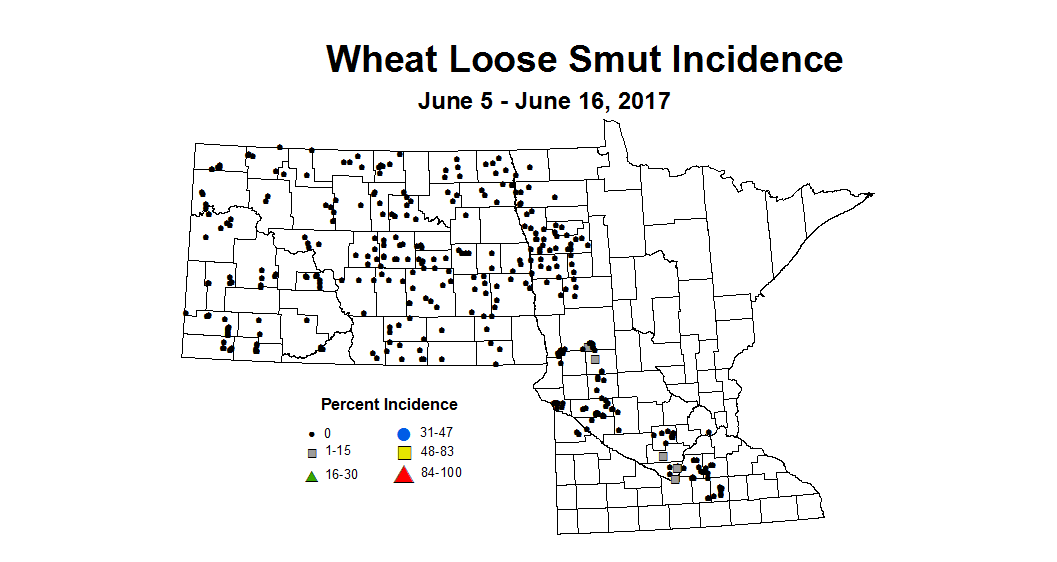wheat LSI 6 5 6 16 2017