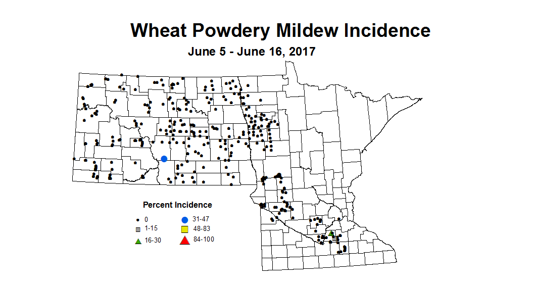 wheat PMI 6 5 6 16 2017