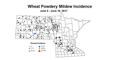 wheat PMI 6 5 6 16 2017