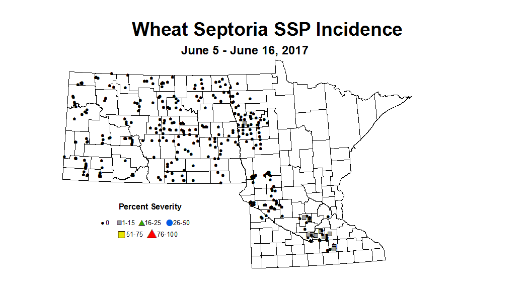wheat SSPI 6 5 6 16 2017