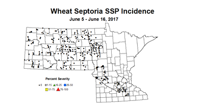 wheat SSPI 6 5 6 16 2017