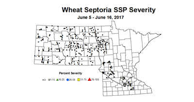 wheat SSPSV 6 5 6 16 2017