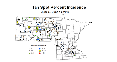 wheat TSI 6 5 6 16 2017