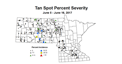 wheat TSSV 6 5 6 16 2017