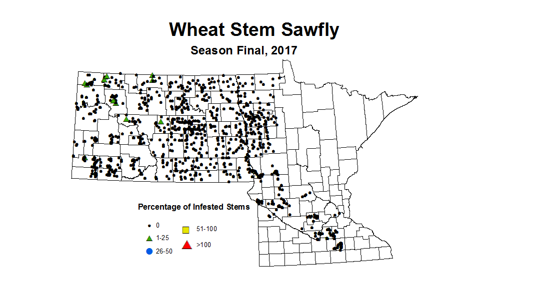 sawfly seasonWheat2017