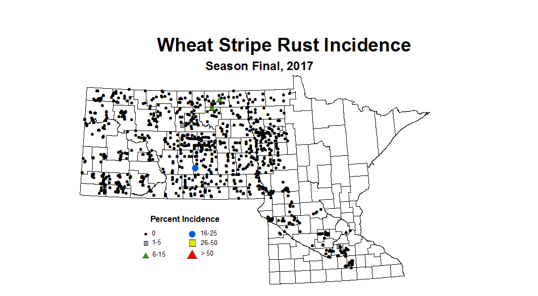 stripeRust seasonWheat2017