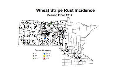 stripeRust seasonWheat2017