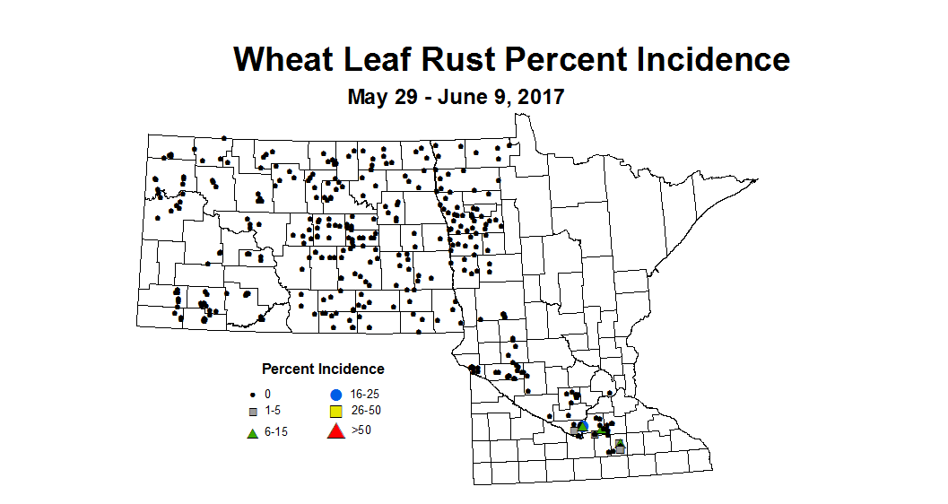 wheat LRIl 5 29 6 9 2017