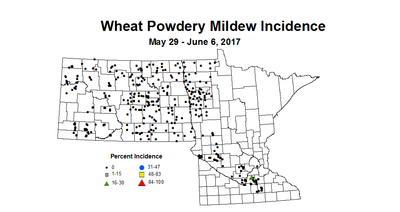 wheat PMI 5 29 6 9 2017