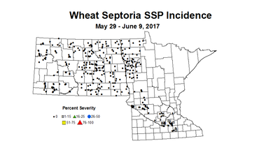 wheat SSPI 5 29 6 9 2017