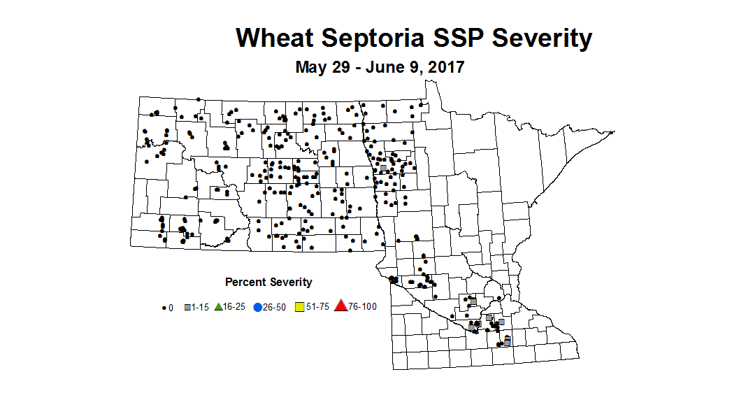 wheat SSPSV 5 29 6 9 2017