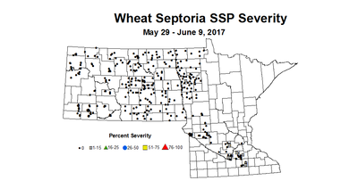 wheat SSPSV 5 29 6 9 2017