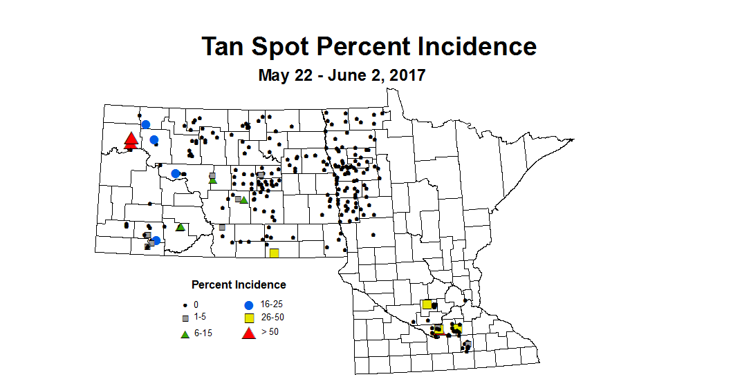 wheat TSI 5 22 6 2 2017