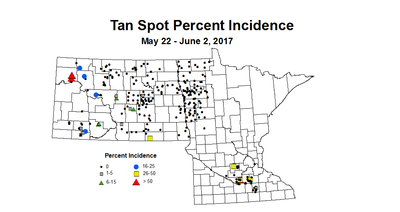 wheat TSI 5 22 6 2 2017