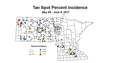 wheat TSI 5 29 6 9 2017