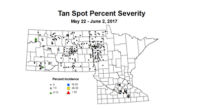wheat TSSV 5 22 6 2 2017