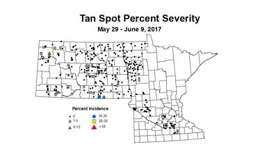 wheat TSSV 5 29 6 9 2017