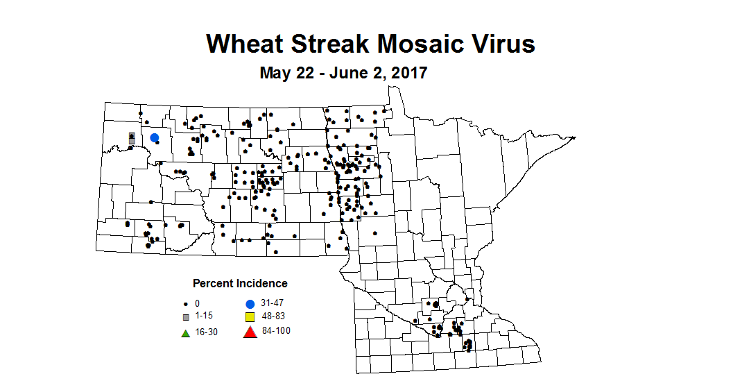wheat WSMVI 5 22 6 2 2017