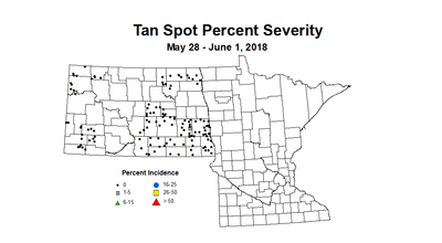 wheat TSSV 5.28 6.1 2018