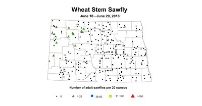 June18 June29 wheat stem sawfly