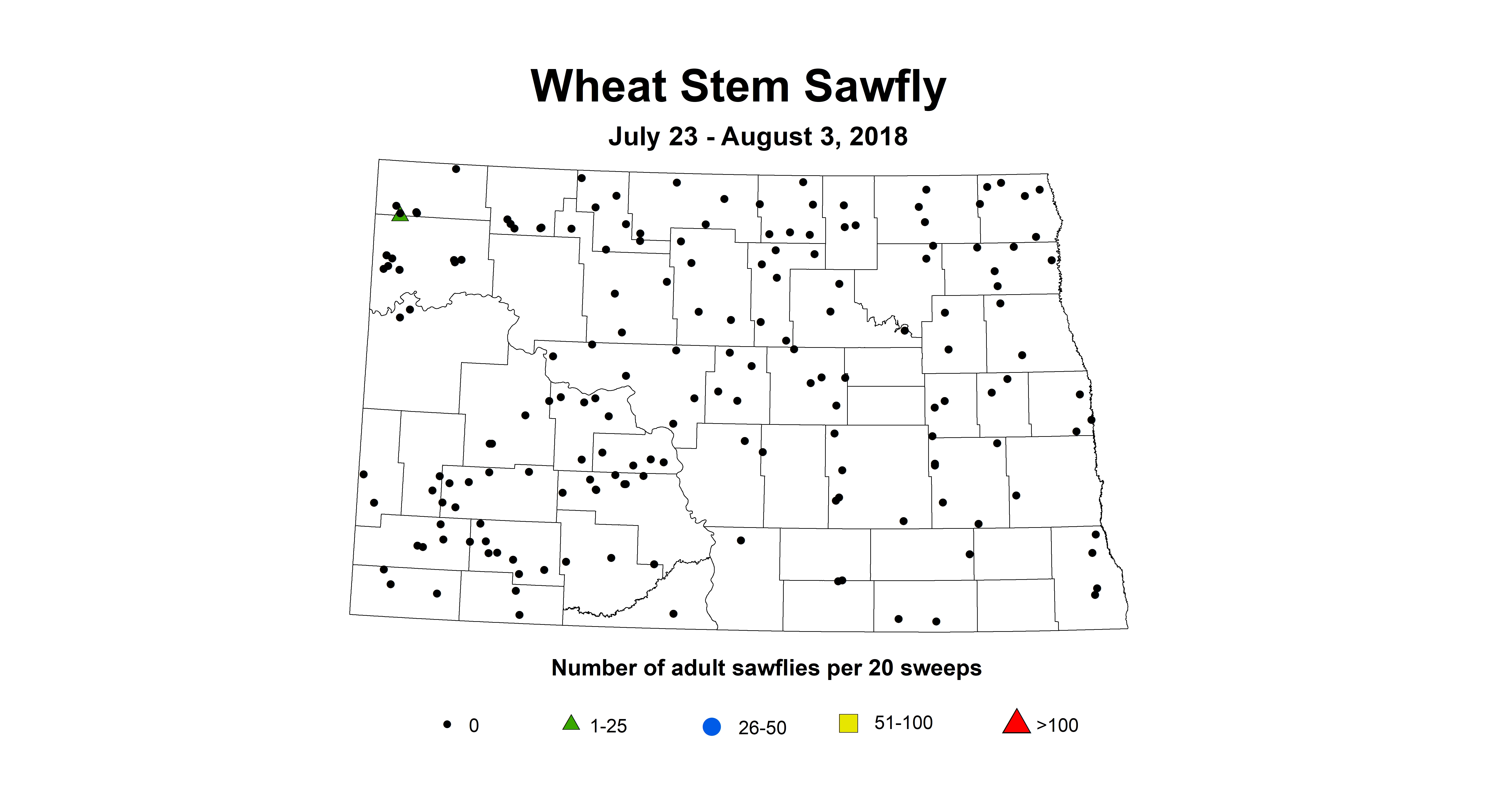 July23 aug3 wheat stem sawfly