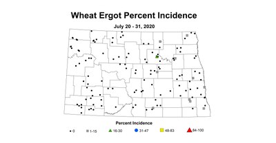 ergot