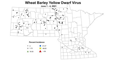 wheatBarleyYellowDwarfVirus6.1 6.4