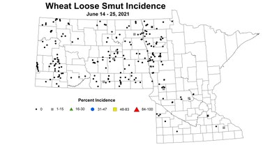 wheatLooseSmutIncidence 6.14 6.25