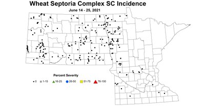 wheatSeptoriaComplexIncidence 6.14 6.25