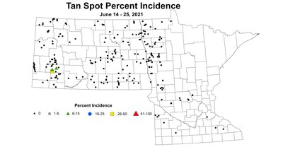 wheatTanSpotIncidence 6.14 6.25