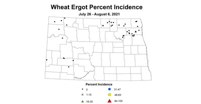 ergot