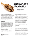 Buckwheat Production