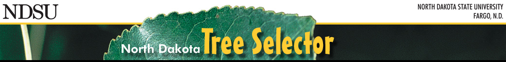 ND Tree Selector header image