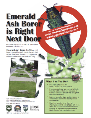 EAB is Right Next Door EAB is Right Next Door