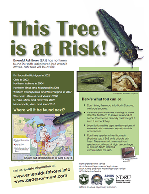 This Tree is at Risk This Tree is at Risk