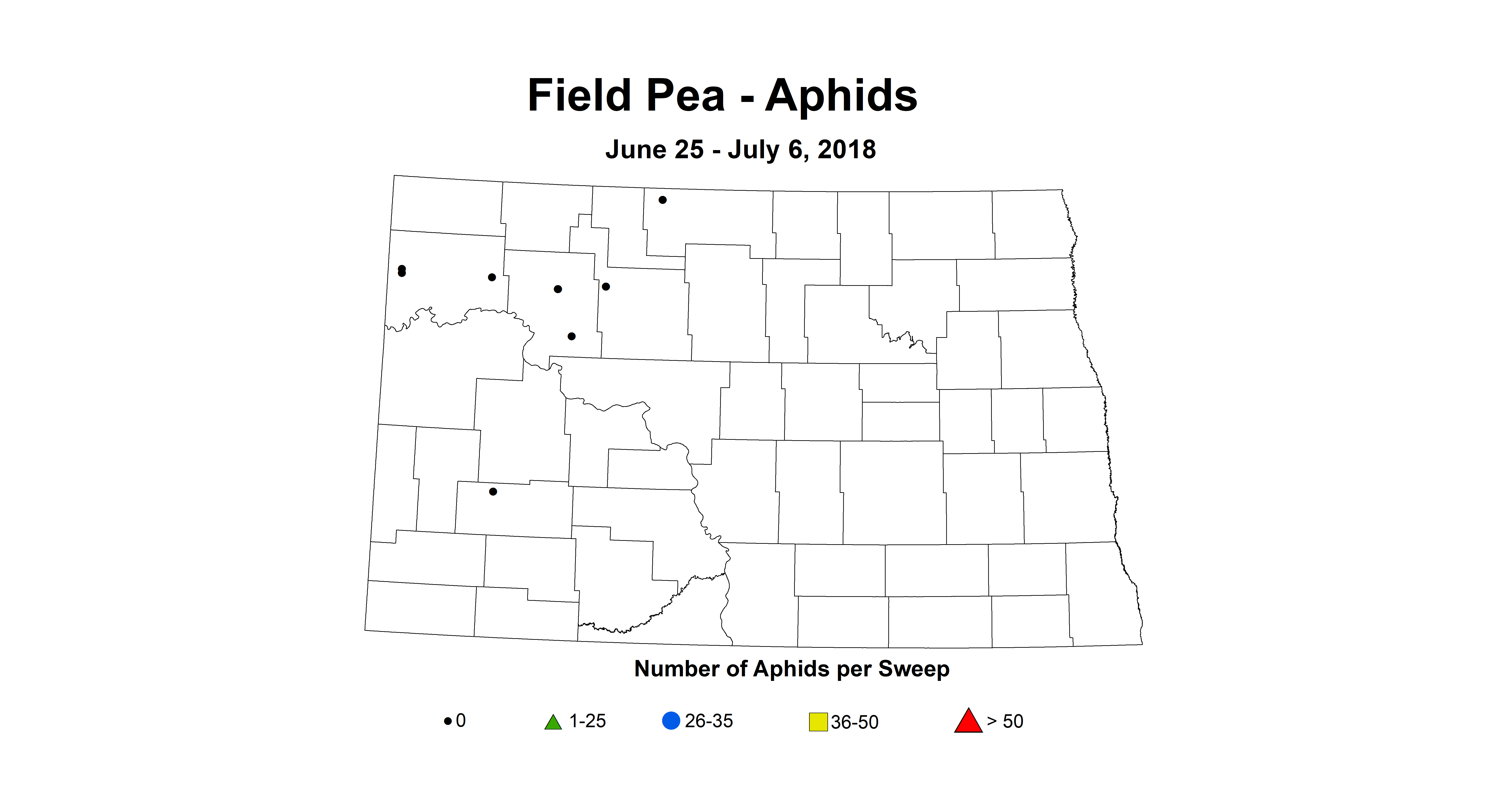 aphid