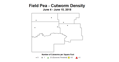 cw density